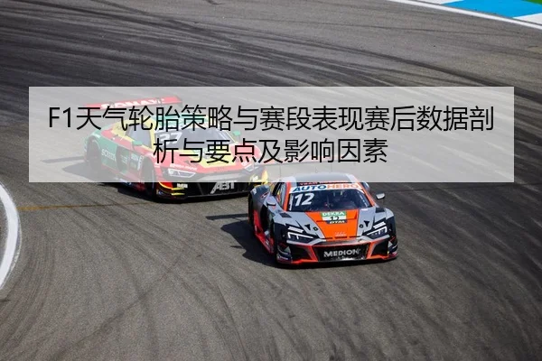 F1天气轮胎策略与赛段表现赛后数据剖析与要点及影响因素